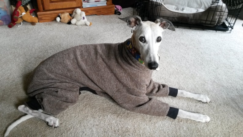 Standard Fleece Body Suit with Turtleneck for a dog 18 to 24 Great for whippets and similar sizes. Whippet size