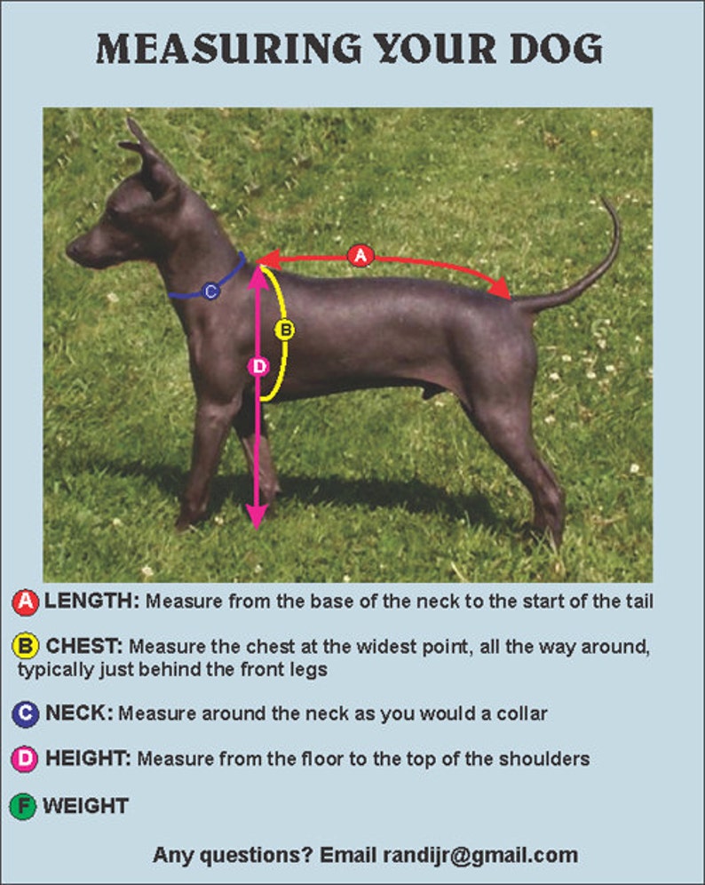 May include: Diagram showing how to measure a dog for a harness or collar. The diagram shows a black dog with five different measurements labeled: length, chest, neck, height, and weight.