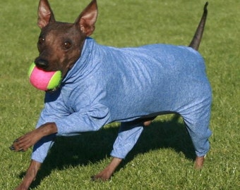 UPF50 Sun Protection Suit for American Hairless Terriers, Chinese Crested, Xolos and all small dogs from 10" - 18"