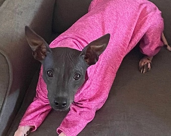 UPF50 Sun Protection Suit for American Hairless Terriers, Chinese Crested, Xolos and all small dogs from 10" - 18"