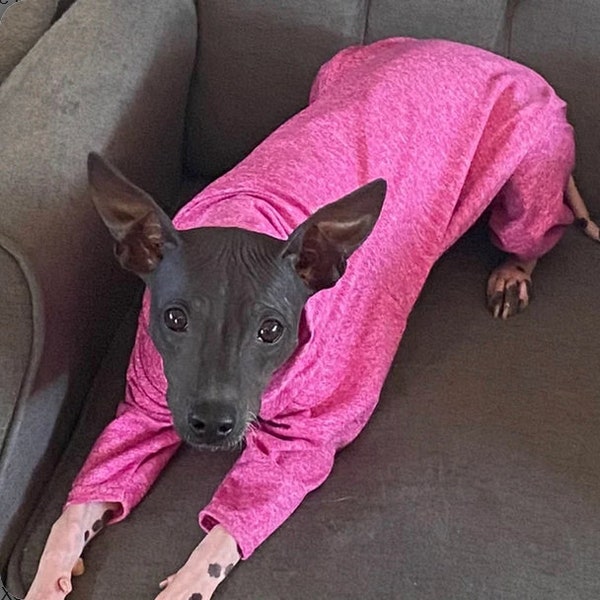 UPF50 Sun Protection Suit for American Hairless Terriers, Chinese Crested, Xolos and all small dogs from 10" - 18"