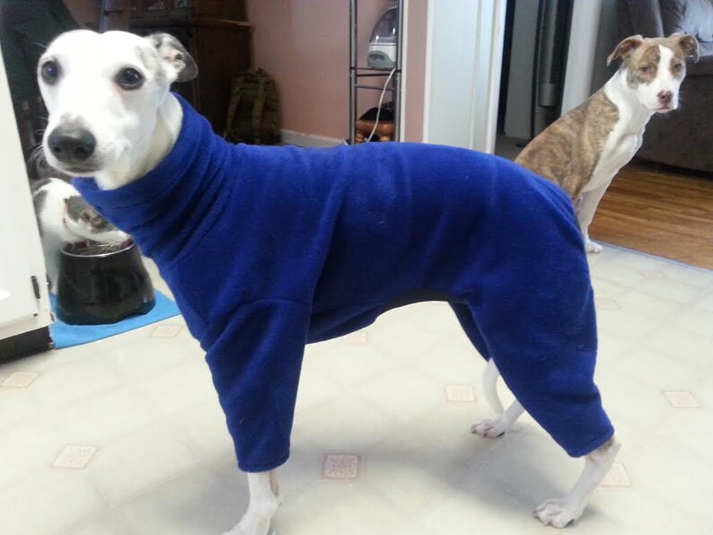 Standard Fleece Body Suit with Turtleneck for a dog 18 to 24 Great for whippets and similar sizes. Whippet size