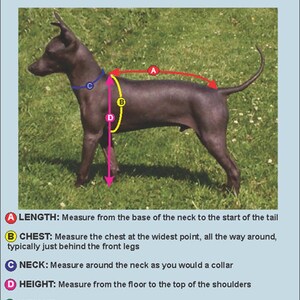 May include: Diagram showing how to measure a dog for a harness or collar. The diagram shows a black dog with five measurement points labeled with letters: A - Length, B - Chest, C - Neck, D - Height, and F - Weight. The text below the diagram explains how to measure each point.