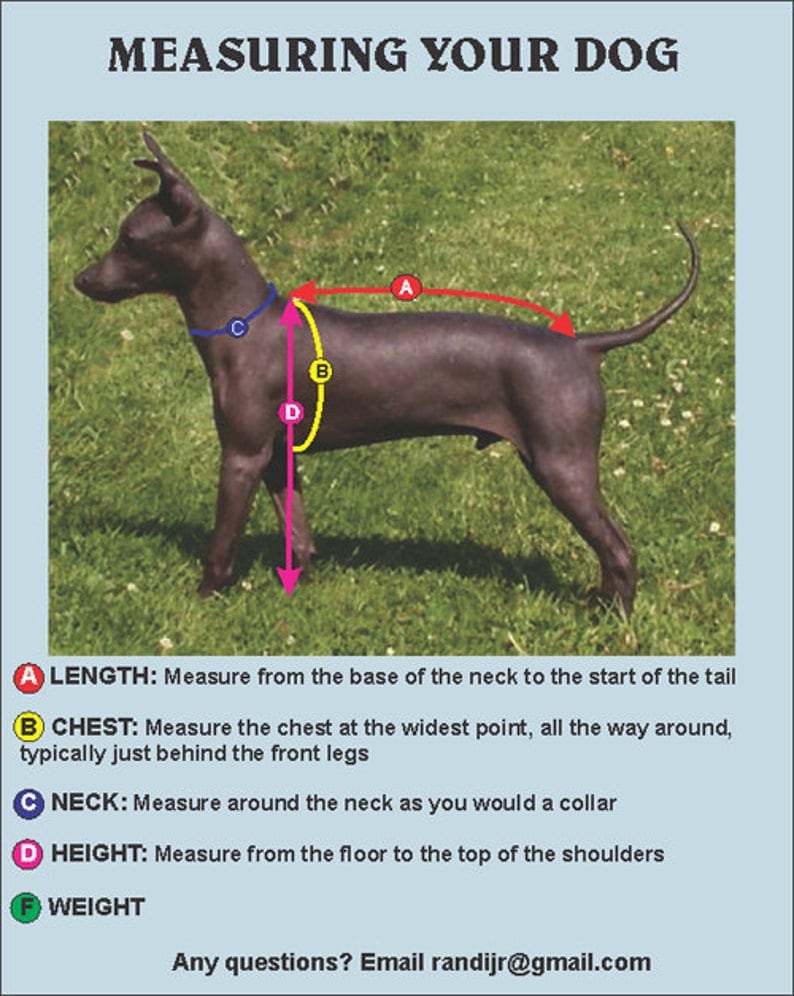 May include: Diagram showing how to measure a dog for a harness or collar. The diagram shows a black dog with five measurement points labeled with letters: A - Length, B - Chest, C - Neck, D - Height, and F - Weight. The text below the diagram explains how to measure each point.