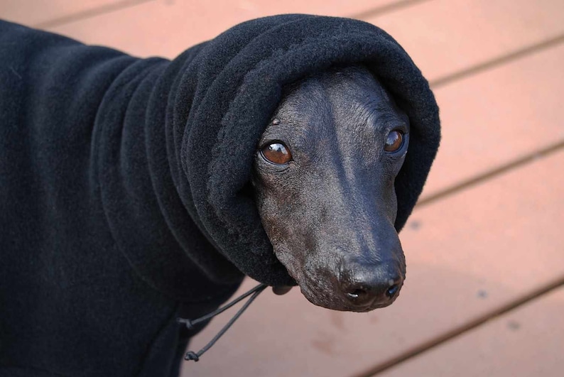 Fleece Polartec 200* Dusty Rust* with Optional Head Covering Snood wtoggle or Turtlenck for Italian Greyhounds and all small dogs.