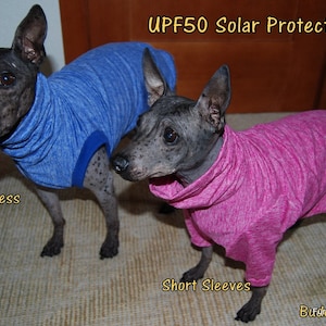 UPF50 Sun Protection Suit for American Hairless Terriers, Chinese Crested, Xolos and all small dogs from 10" - 18"