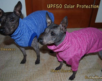 UPF50 Sun Protection Suit for American Hairless Terriers, Chinese Crested, Xolos and all small dogs from 10" - 18"