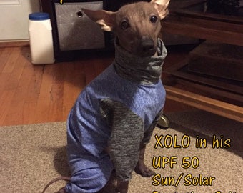 UPF50 Sun Protection Suit for American Hairless Terriers, Chinese Crested, Xolos and all small dogs from 10" - 18"