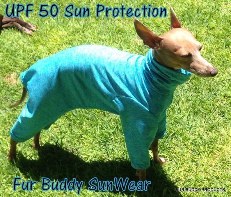 May include: A small dog wearing a turquoise blue sun protective suit with the text "UPF 50 Sun Protection" and "Fur Buddy SunWear" on the image.