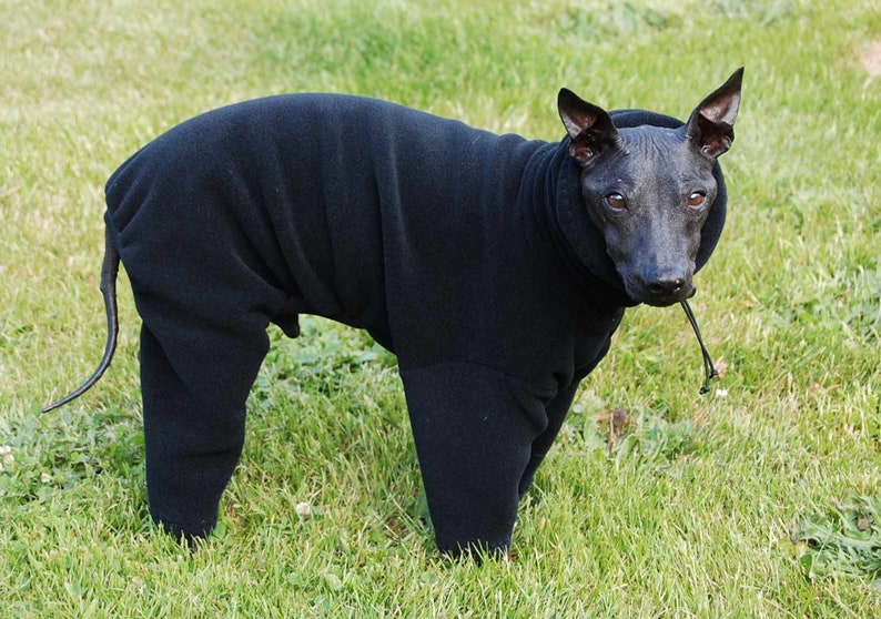 Fleece Polartec 200* Dusty Rust* with Optional Head Covering Snood wtoggle or Turtlenck for Italian Greyhounds and all small dogs.