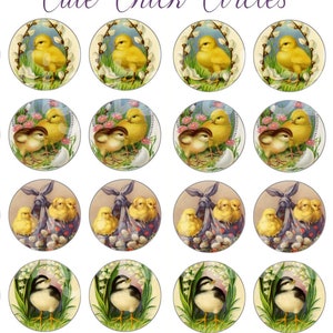 Cute CHICKS PEEPS Craft Circles - Farm  Easter Baby Chick Chickens  Instant Download Digital Printable-Bottlecaps Collage Sheet -  DiY Print