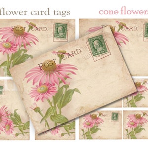 VINTAGE Cone Flower POSTCARDS - Téléchargement numérique - Cartes postales botaniques estampillées - Étiquettes 3 tailles, scrapbooking, étiquettes de prix, cartes, étiquettes cadeaux