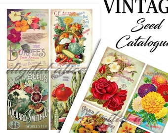 CATÁLOGOS DE SEMILLAS VINTAGE - Portadas de catálogo de semillas antiguas - Descarga instantánea digital imprimible- 8 imágenes - Tags, Cards, Collage DiY