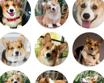 CORGI DOG Craft Circles - Welsh Corgi Dog Puppy Instant Download Digital Printable-Bottlecaps Collage Sheet-DiY Print-Pembroke Cardigan