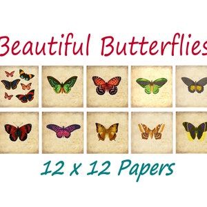 VINTAGE BUTTERFLY PAPERS - Antique Butterfly Prints-Instant Download Digital Printable Paper Crafts, Wedding, Party, Photos-10 butterflies