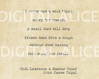 VINTAGE TYPEWRITER PRINT -I never saw a wild thing sorry for itself - D H Lawrence Famous Quote