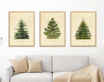 VINTAGE CHRISTMAS TREE Botanical Prints - printable digital download - 3 pine tree prints in white and antique - conifer,fir, pine xmas DiY