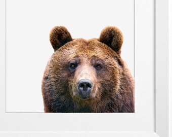 Digital BROWN BEAR PRINT  -Instant Download Digital Printable-  Modern Minimalist Wild Life - Bear Art - Lodge Camp Nursery