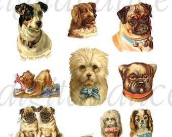 VICTORIAN DOGS SCRAP images- Digital Download Clpart Dog - Pug,Shihtzu,terrier Scrapbooking more