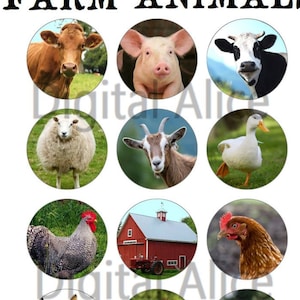 May include: A set of 12 colorful circles featuring farm animals, including a cow, pig, sheep, goat, duck, rooster, chicken, donkey, horse, and a red barn. The circles are perfect for a farm-themed classroom or playroom.