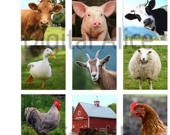 CUTE FARM ANIMALS -12 squares -Cow,pig,sheep,goat,chicken,horse ,donkey, duck,barn - Instant Download Printable  - 2 and 1 in squares
