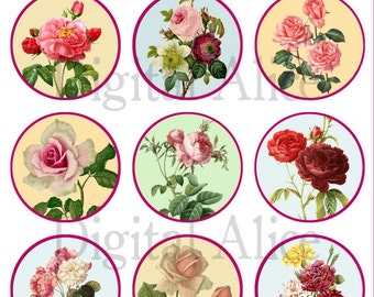 VICTORIAN ROSE PAINTING  Craft Circles -Vintage ROses - Instant Download Digital Printable  -Bottlecaps Collage Sheet -  DiY