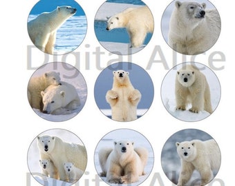 CUTE POLAR BEARS-12 circles- Polar Bear Cubs, Arctic Animals, Snow - Instant Download Printable  - 2 and 1 in circles