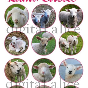 LAMB BABY Sheep Craft Circles - Farm Easter Lambs Instant Download Digitaal Afdrukbaar- -Bottlecaps Collage Sheet - DiY Print