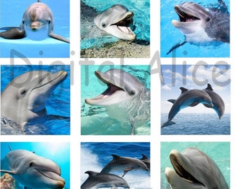 DOLPHINS -12 squares- Dolphin Porpoise - Instant Download Printable - 2 and 1 in squares, jewery, party clip art