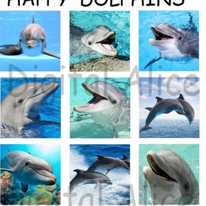 DELFINI -12 quadrati- Focena delfino - Instant Download Stampabile - 2 e 1 in quadrati, jewery, party clip art