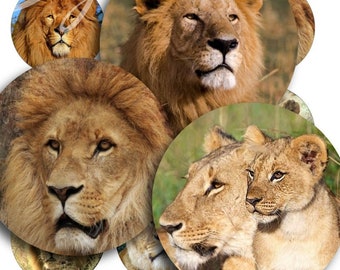 LION HEAD Craft Circles - 12 Proud Lion Lioness Instant Download Digital Printable Bottlecaps , Cabochon Images, Collage Sheet Party Supply