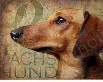 Dog Lovers Art - DACHSHUND Doxie WEINER DOG - Vintage Look Contemporary Art Print Poster - Artist signed - 3 sizes - customizable