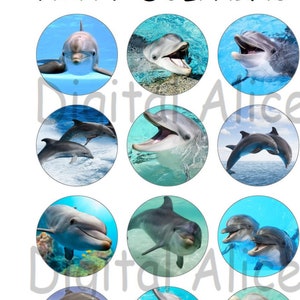 May include: Twelve round images of dolphins in blue water. The dolphins are in various poses, including swimming, jumping, and playing. The text "HAPPY DOLPHINS" is at the top of the image.