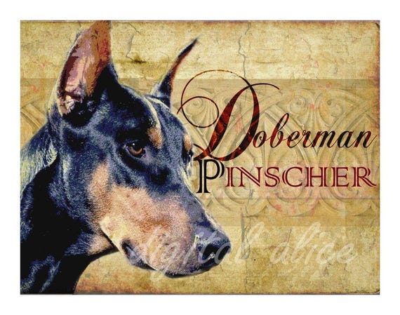 Vintage Series Wendy Presseisen DACHSHUND  Dog Print Poster Doxie Weiner Dog