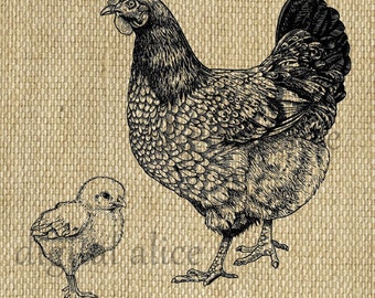 Digital HEN and CHICK CLIPART Print - Antique Chicken w Baby Chick Engraving - Digital Download Printable Poster Art Engraving - Farmhouse