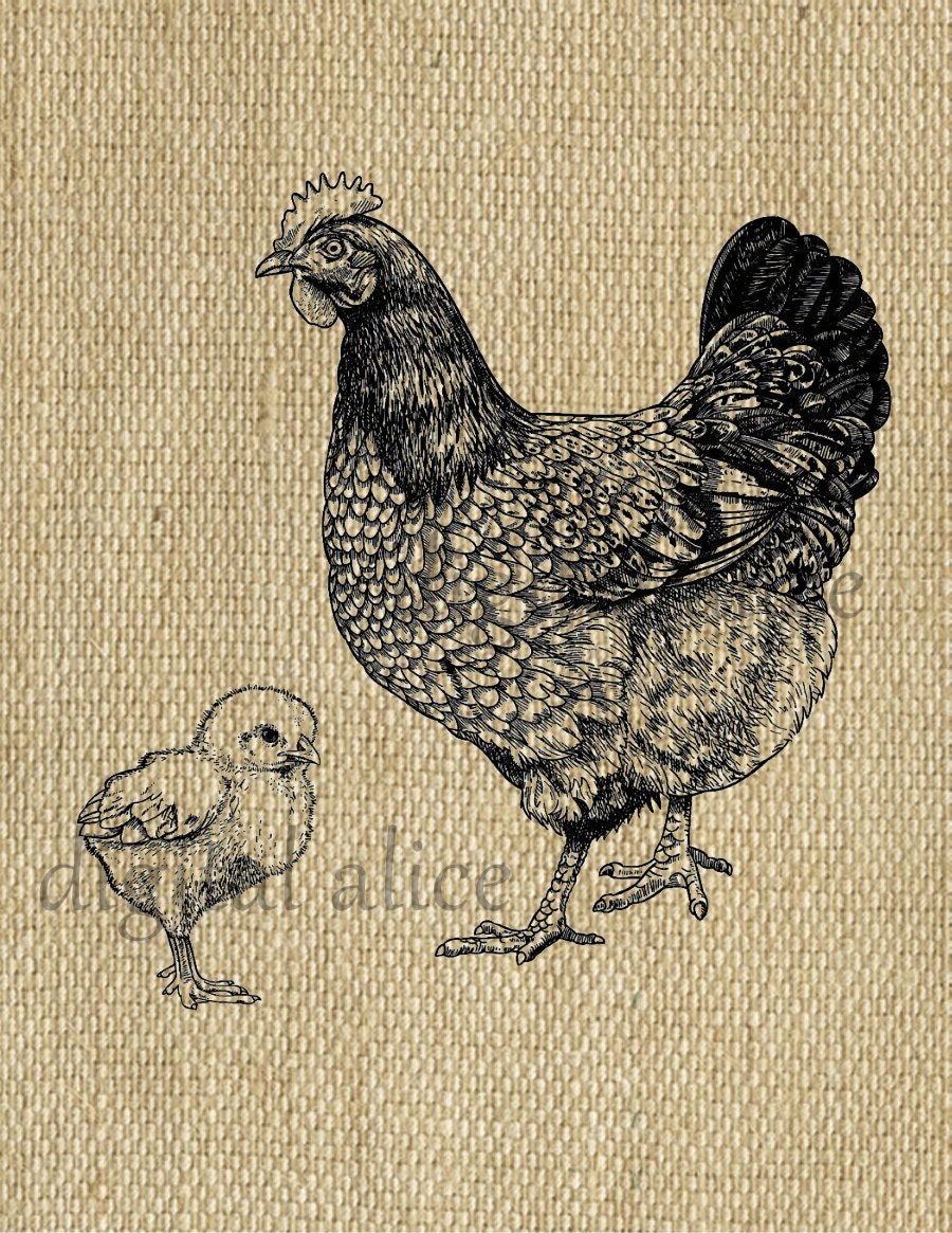 Digital HEN and CHICK CLIPART Print - Antique Chicken W Baby Chick ...