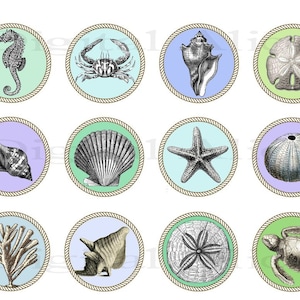 SEA SHELLS Craft Circles - Beach House - Seahorse,Starfish, Urchin- Instant Download Digital Printable  -Bottlecaps Collage Sheet -  DiY