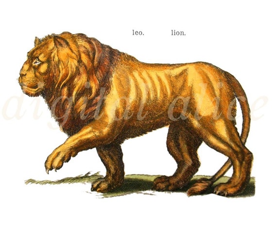 LYFT希少】 Lion Graphic Vintage Extra Big LYFT希少】 Lion Graphic