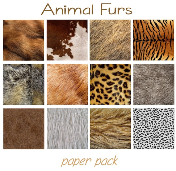 ANIMAL FUR PAPER, 12 Printable Papers, Fur Pelt Textures, Collage