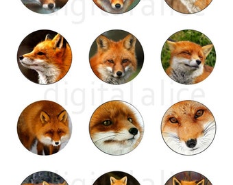 RED FOX Bastelkreise 27mm - Furry FOXES Instant Download Digital Printable- -Flaschenkappen Collage Sheet 27mm