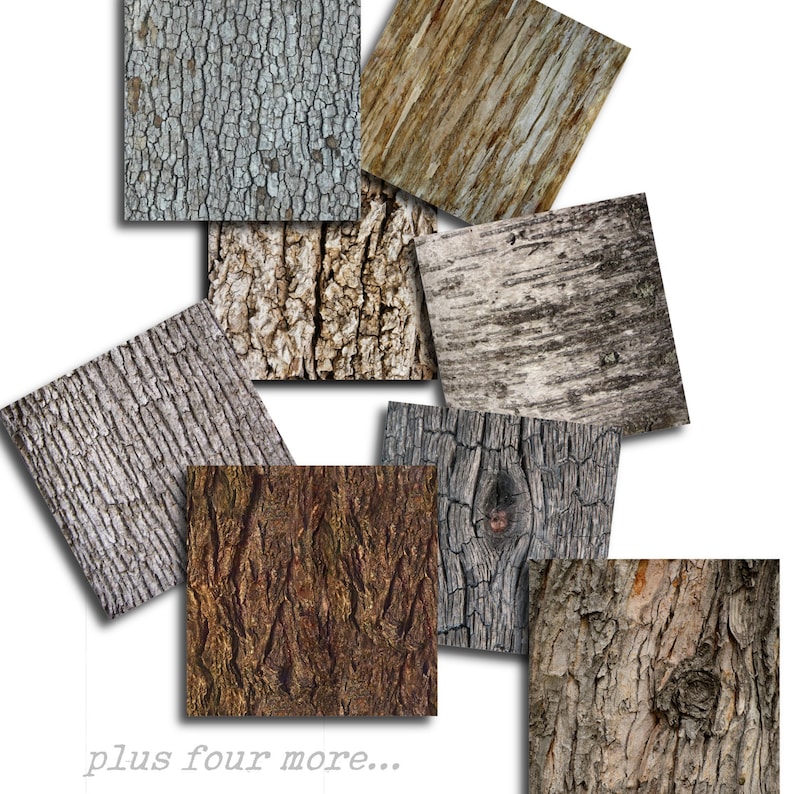 TREE BARK PAPER Digital Paper Pack Rustic Tree Bark Etsy