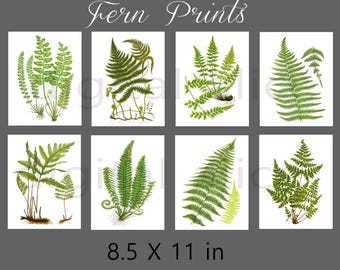 FERN PRINTS Botanical Art Set of 8- Digital Paper Pack -8 Vintage Printable Papers,Instant Download Digital Printable Paper crafts