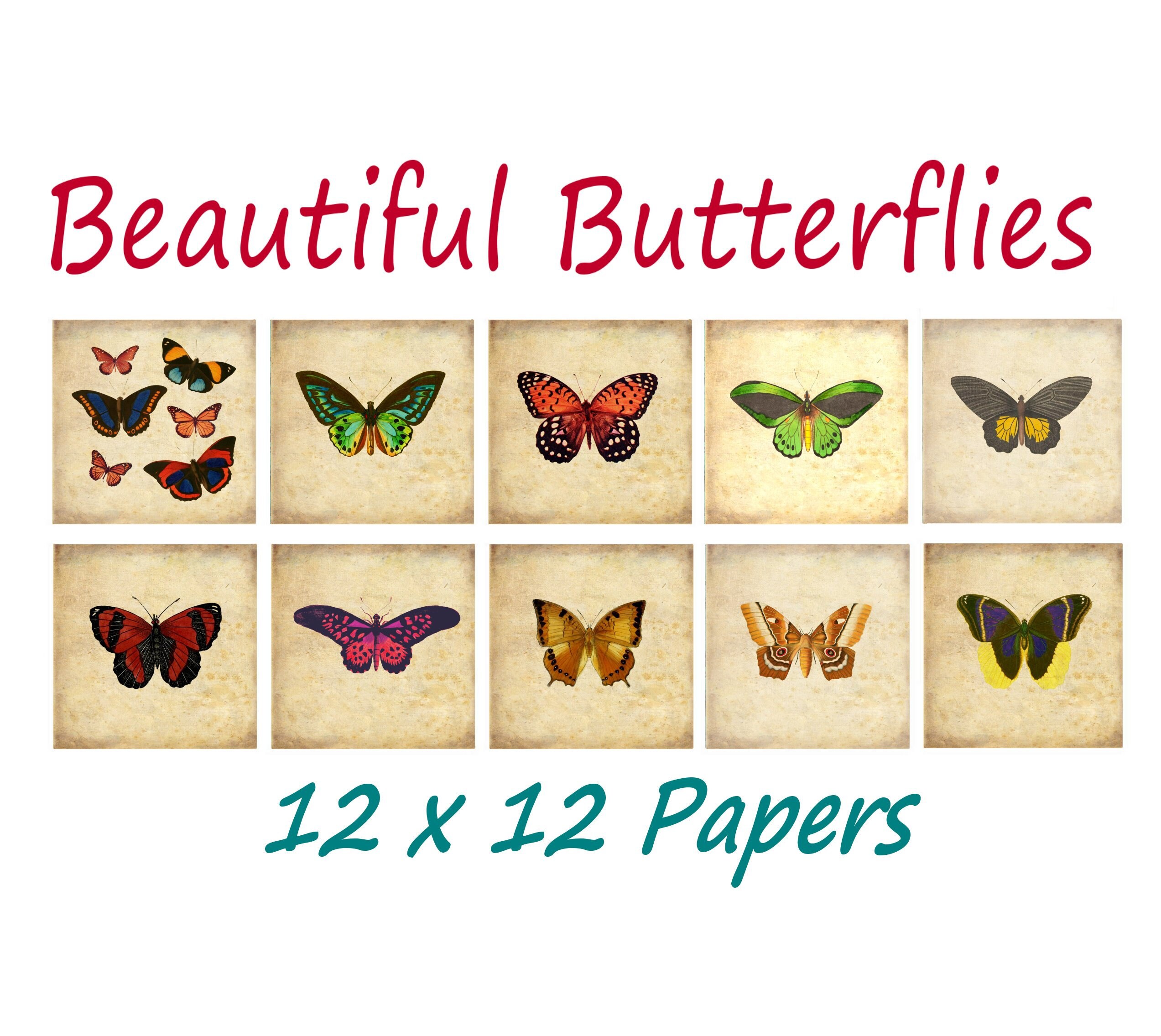 Carpeta Para El Cabello Año Lindo Árbol Butterfly Horquilla Carpeta Para El Cabello Año Lindo Árbol Butterfly Horquilla
