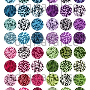 May include: A set of 48 digital printable circles featuring various animal print patterns. The patterns include zebra, leopard, cheetah, giraffe, and tiger prints in a variety of colors, including blue, green, pink, purple, and black.