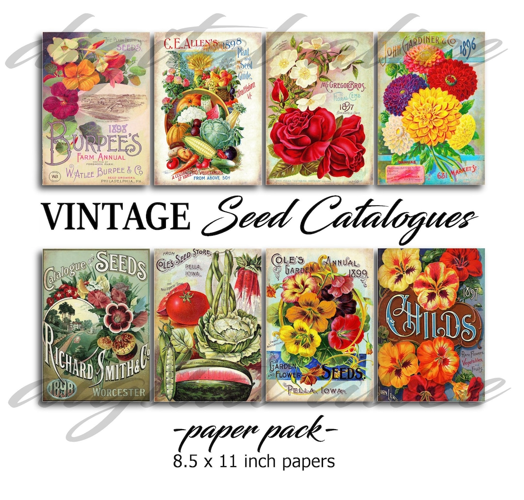 Vintage SEED CATALOGS 8 PRINTS of Old Seed Catalogue Covers Instant