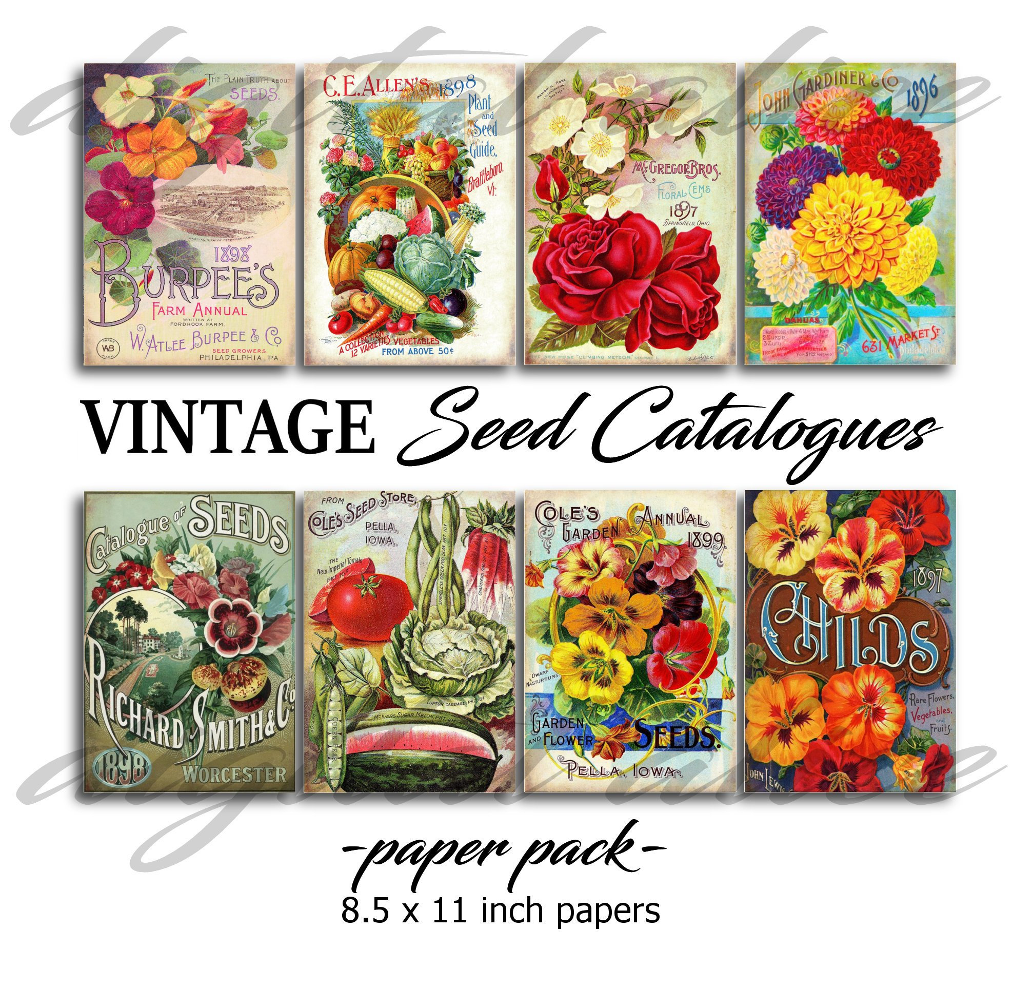 Vintage SEED CATALOGS 8 PRINTS of Old Seed Catalogue Covers - Etsy