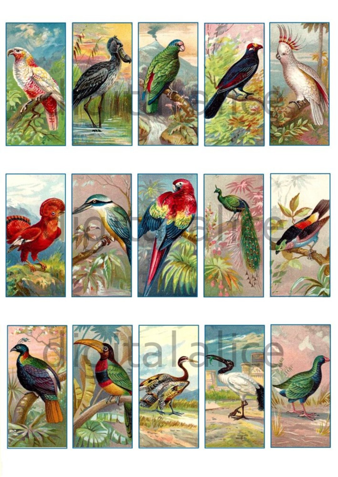 Rectangle Bird TROPICAL BIRDS Rectangles - Instant Download Digital Printable Pendants ...