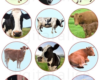 CUTE COWS Craft Circles - Farm Cows Instant Download Digital Printable-  -Bottlecaps Collage Sheet -  DiY Print