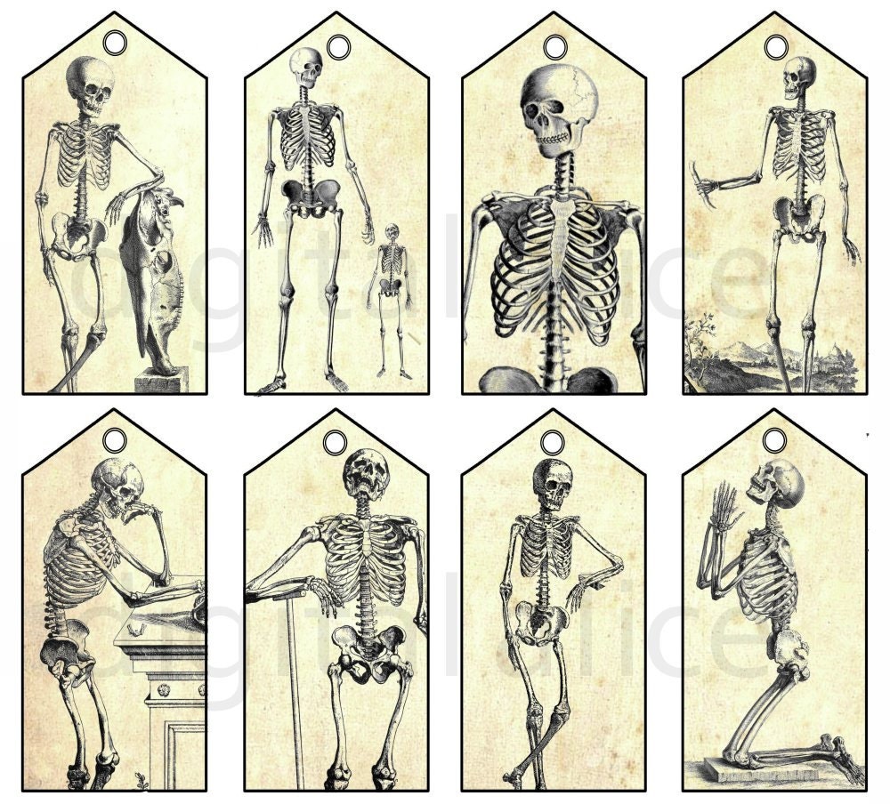 VINTAGE SKELETT Anhänger Instant Download Digital Printable Gruselige  Skelett KNOCHEN Anhänger,Karten Halloween DiY grunge und hell - .de