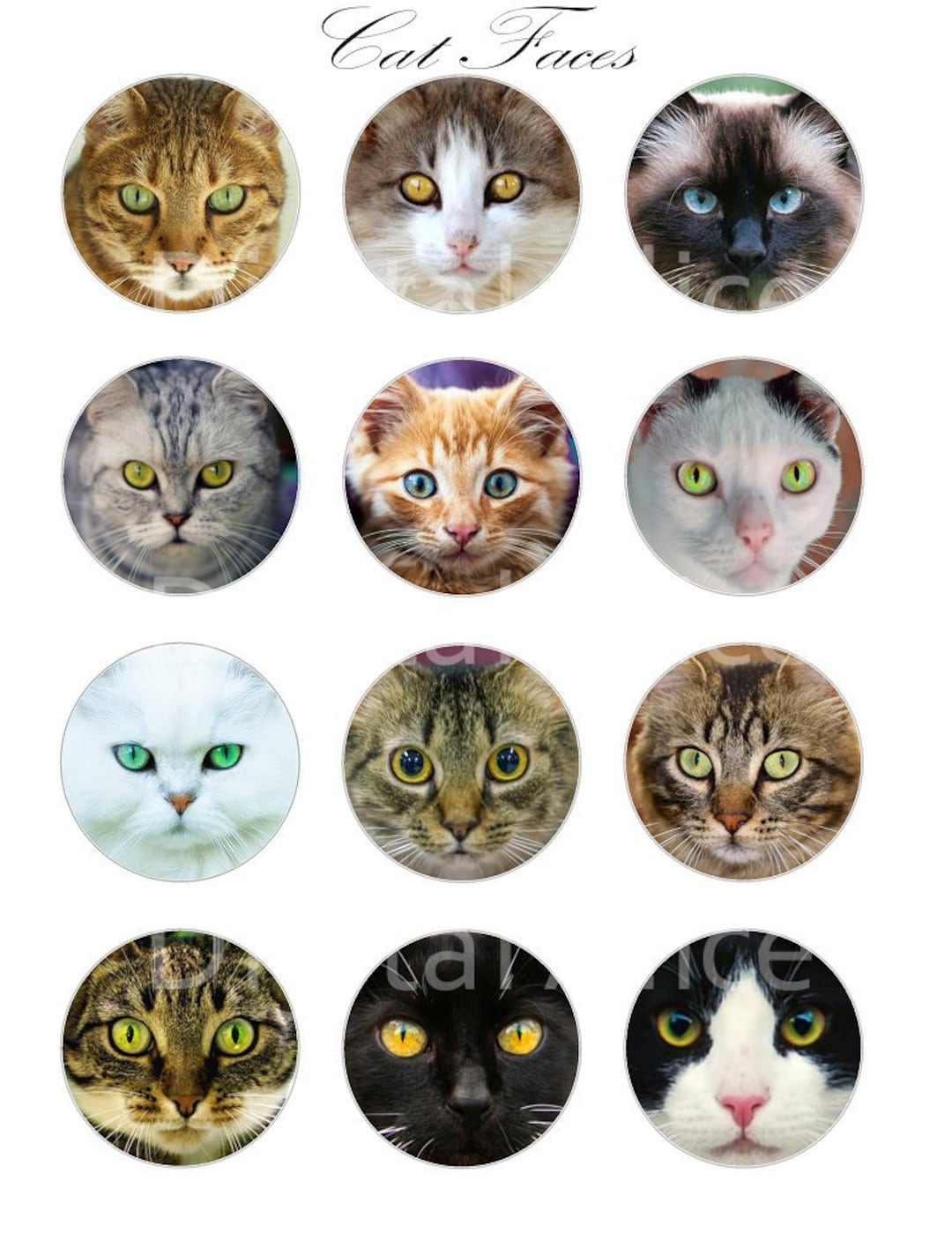 CAT FACES Craft Circles Fluffy Cute Kitty Cat Heads Instant Download